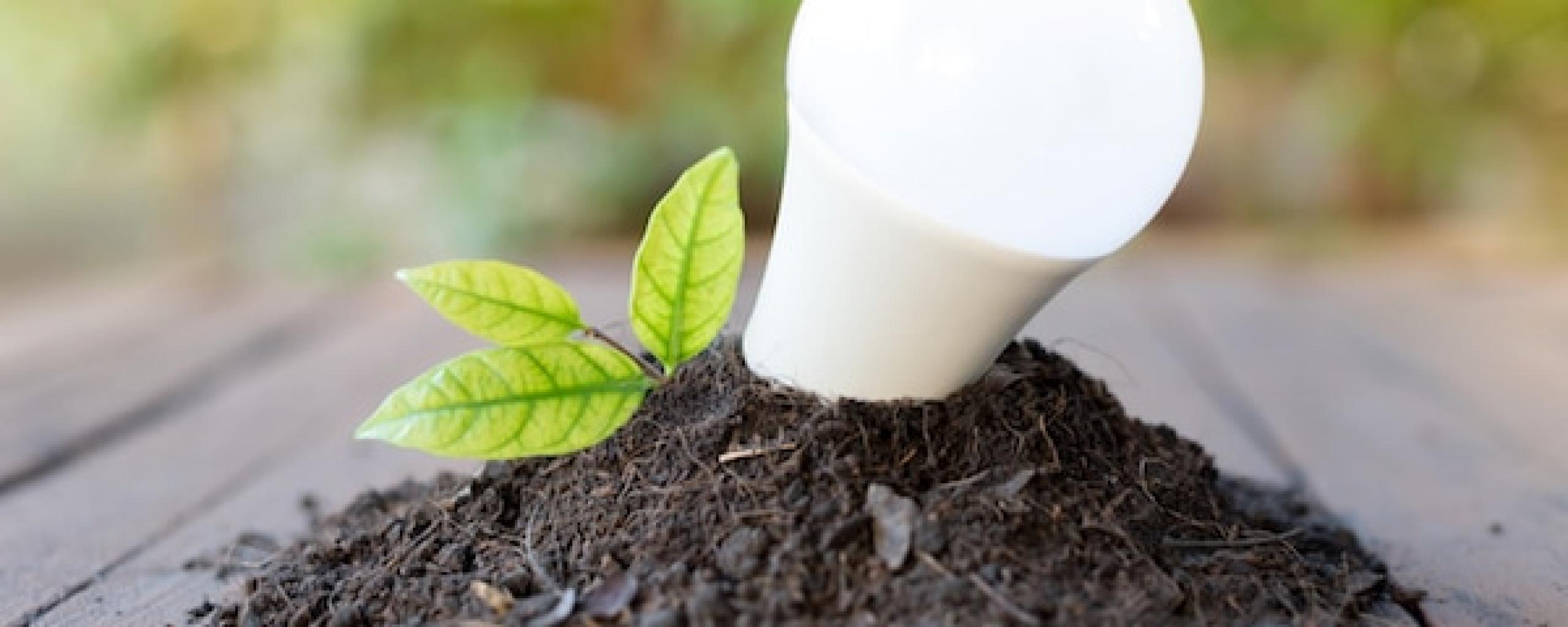 Energiezuinige lamp met grond en groen blaadje