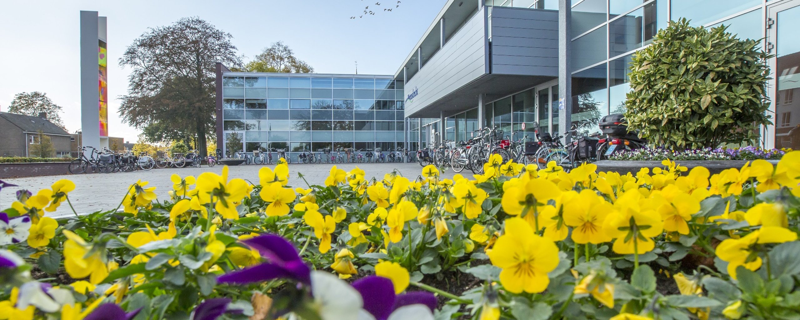 Gemeentehuis met bloembakken op de voorgrond