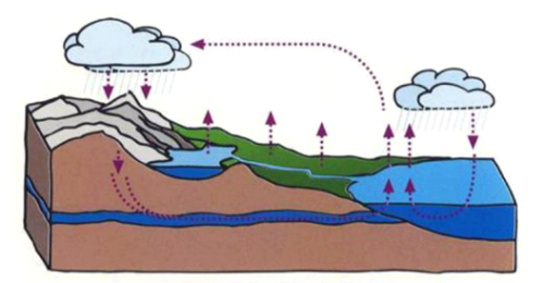 Het watersysteem